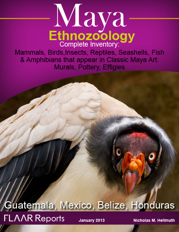 ethnozoology-photos-animals-insects-birds-reptiles-fish-shellfish-Guatemala-FLAAR-Nicholas-Hellmuth