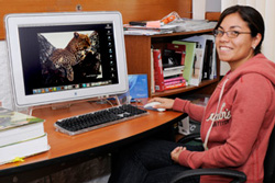 Priscila Sandoval, Staff FLAAR Mesoamerica