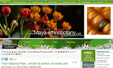 maya-ethnobotany.org