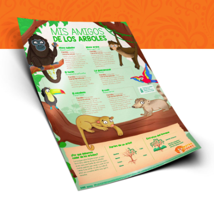 Infographic posters on mammals, water birds, reptiles, bees of Guatemala